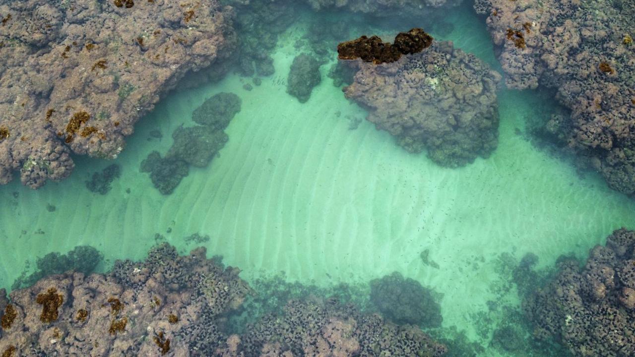 Cabana Fluir - Taipu De Fora - Peninsula De Marau Барра-Гранди Экстерьер фото